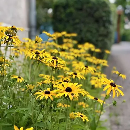 Schone 4 Eg Mit Garten Und Wintergarten Малов